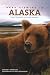 Bear Viewing in Alaska: Expert Techniques for a Great Adventure