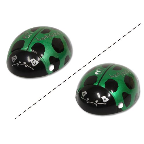 Walkera Canopy for FPV Ladybird V2/Ladybird V2 RC Drone Quadcopter WK001