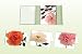 Price Comparison : Two Dozen Roses Note Card Book