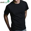 Anvil Mens Organic Tee