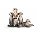 Schleich Meerkat pups