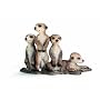 Schleich Meerkat pups