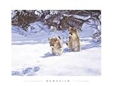 Cautious Approach by Banovich. Art Print Poster. 34 inches width by 26 inches height.
