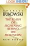 The Flash of Lightning Behind the Mountain: New Poems