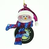 Pack of 4 NHL Colorado Avalanche Hockey Snowman Christmas Ornaments 2.75"