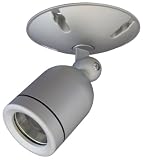 Net Media NM-MODCAM-CS Indoor/Outdoor Modulated CAM Color Video Camera (Silver)