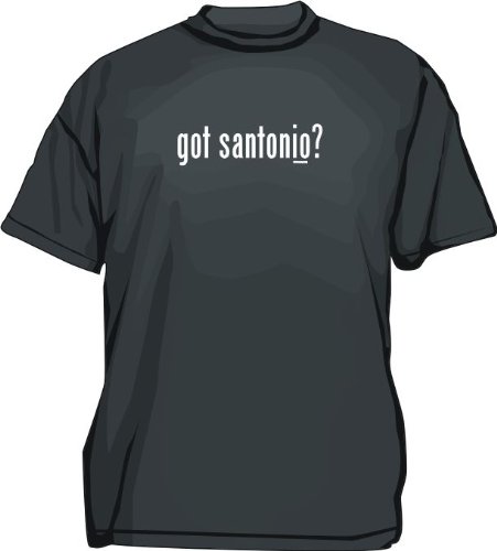 got santonio? Kids T Shirt Youth Medium-Green