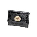ALDO Roncofreddo - Clearance Handbags
