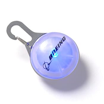 Clip-On Carabiner Light Blue