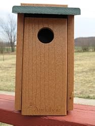 Going Green Bluebird House
