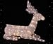 Search : ANIMATED SITTING BUCK CHRISTMAS DECORATION LIGHTS