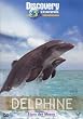 DELPHINE - Stars der Meere (Discovery Channel)