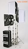 JTL 931511 TL-2250 Everlight Tungsten 3 Light Kit with Softboxes and Padded Carrying Case