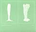 The Glass Sponge
