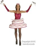 Adult Sexy Birthday Cake Costume