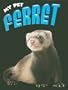 My Pet Ferret