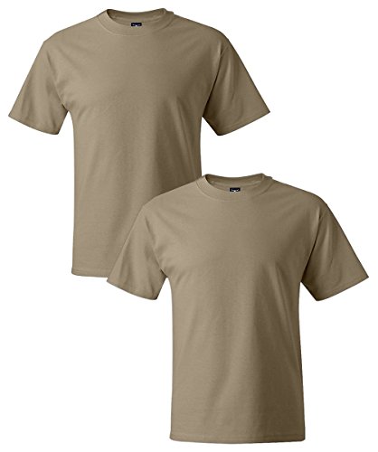 Hanes Men's 2 Pack Short Sleeve Beefy-T