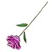 Amazleer Love Forever Long Stem Dipped 24k Gold Foil Trim Purple Rose Enchantress Flora with Thorns Real Rose Dipped in Gold