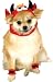 Cat and Dog Costumes - Dog Devil Costume Small Dog
