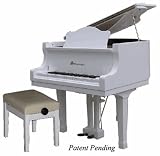 41UDqqLehAL. SL160  Schoenhut Piano Company Baby Grand Piano