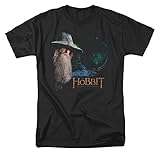 UPC 887806020582 product image for Trevco The Hobbit-The Door Short Sleeve Adult 18-1 Tee, Black - Small | upcitemdb.com