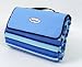 Urban Beach Fleece Picnic Rug with Waterproof Backing (135cm x 120cm). Blue Stripe