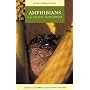 Amphibians of the Pacific Northwest