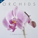 Orchids 2010 Wall Calendar