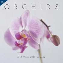 Orchids 2010 Wall Calendar