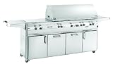 Fire Magic Gas Grills Echelon E1060s Natural Gas Grill With Double Side Burner On Cabinet Cart