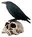 Wildlife - Raven On Skull - Cold Cast Resin - 7.0" Height