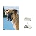 Bullmastiff Flip Top Lighter