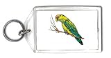 Keychain with budgie, perched, bird