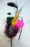 Colorful Feather Fascinator Headband