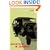Appointment in Samarra (Vintage Classics)