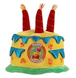 Winnie The Pooh Birthday Cake Hat