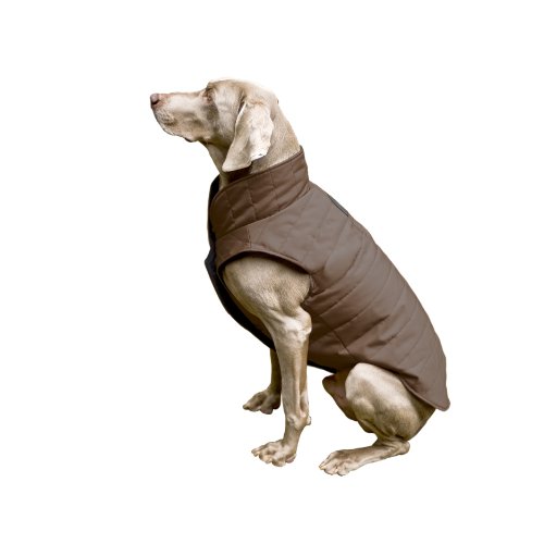 best friends dog coats