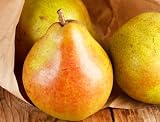 5lb Colossal Comice Pear Fruit Box