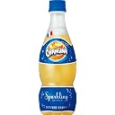 ORANGINA /オランジーナ　420ml　×　24本　ペットボトル