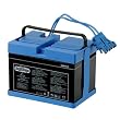 Peg Perego Battery 12 Volt (Drop Ship Pack)