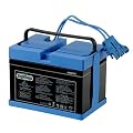 Peg Perego Battery 12 Volt (Drop Ship Pack)