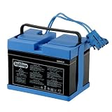 Peg Perego Battery 12 Volt (Drop Ship Pack)