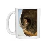 Photo Mugs