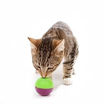 OurPets Play-N-Treat Twin Pack Cat Toy
