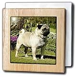 Review 3dRose LLC  / Fawn Pug - 6 Inch Tile Napkin Holder