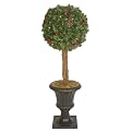 - 31" LTD BALL TOPIARY-green/red/black