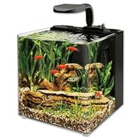 Aqueon Evolve 4 LED Aquarium Kit, 4 gallons
