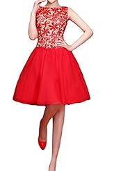 Girls Cocktail Short Tulle Lace Homecoming Dress/Prom Dress 