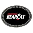 Set of 2 Cincinnati Bearcats Team Logo Lapel Pin - NCAA College Athletics Fan Shop Accessories