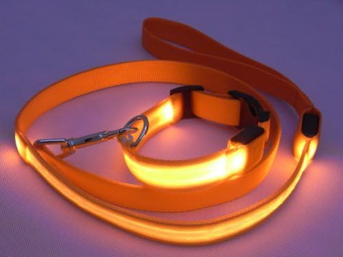 LED High Visibility Flashing Lights Nylon Pet Dog Puppy Pup Night Safty Collar and Leash (set)-S#(Orange)